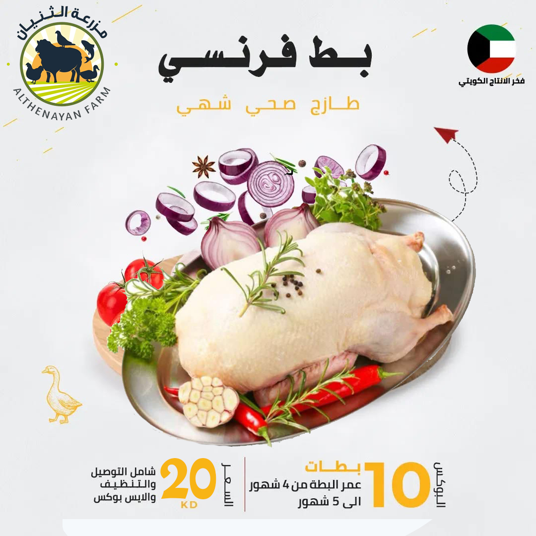 عرض 10 بطات فرنسي