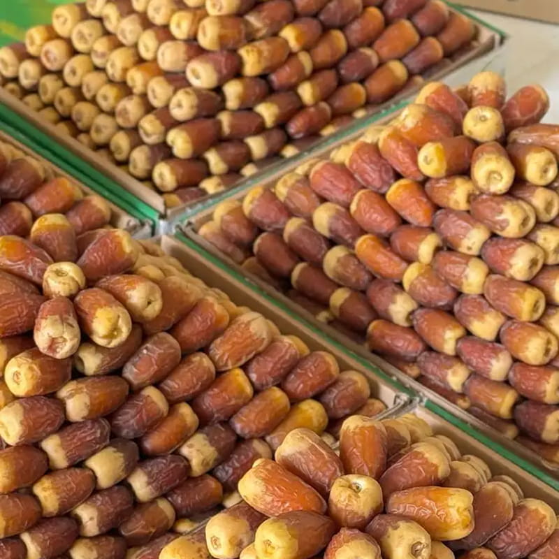 عرض تمر الصقعي الملكي