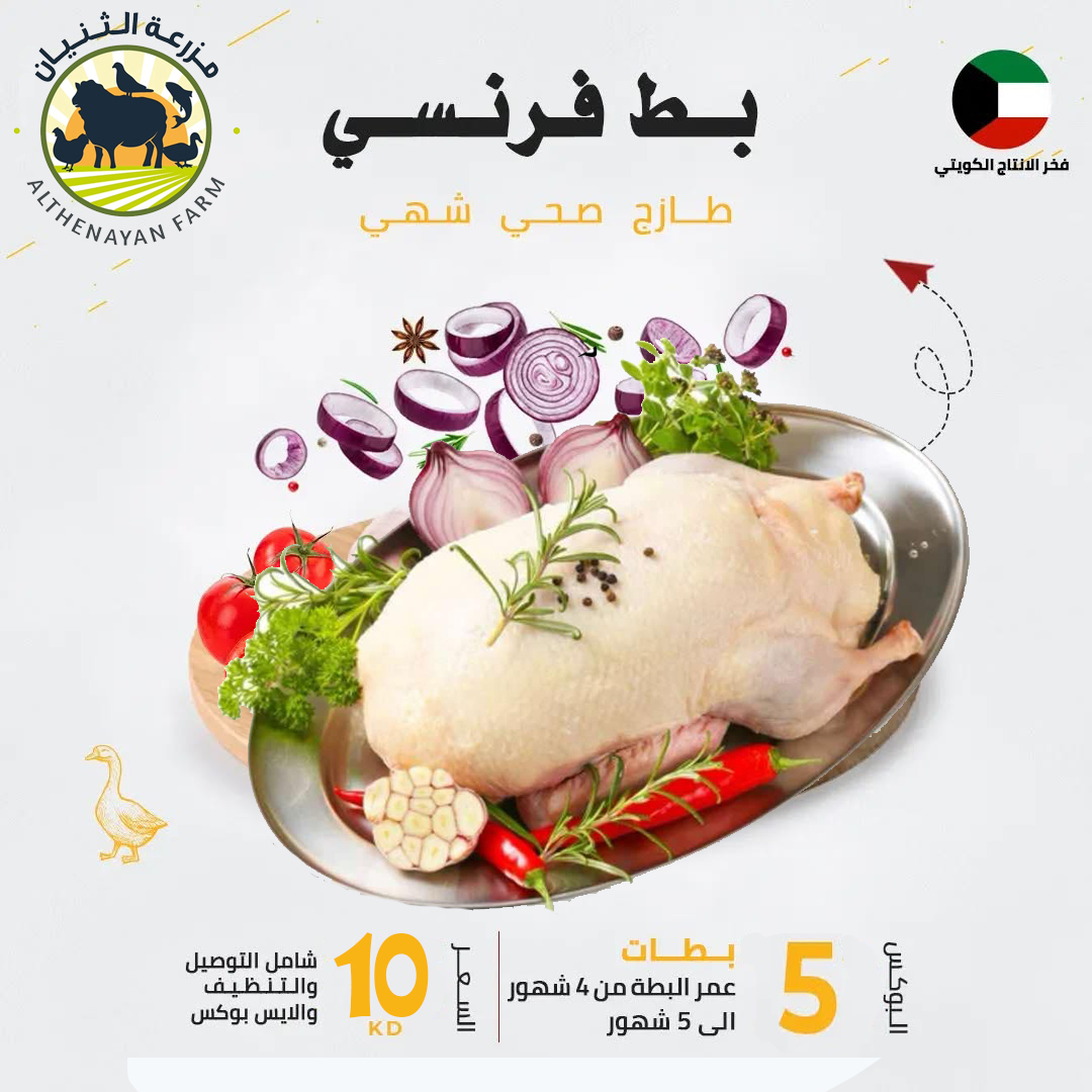 عرض 5 بطات فرنسي