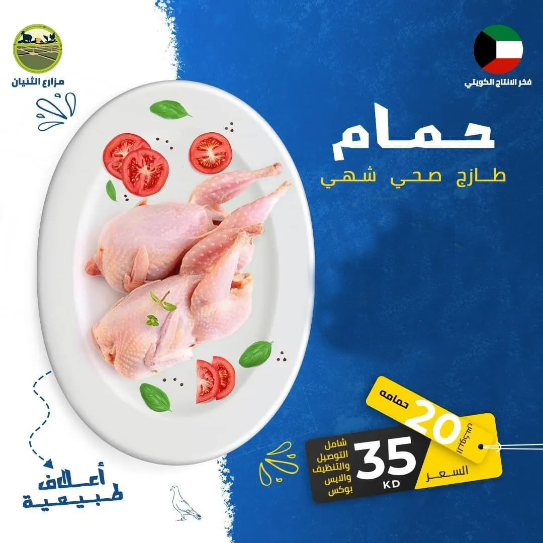 بوكس 20 حمامة